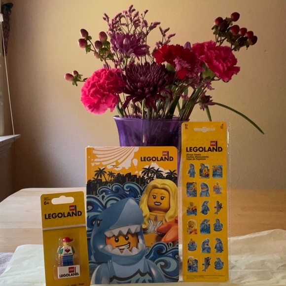 🦈 📚LEGOLAND  NOTEBOOK  BUNDLE 🦈📚 - Picture 7 of 16